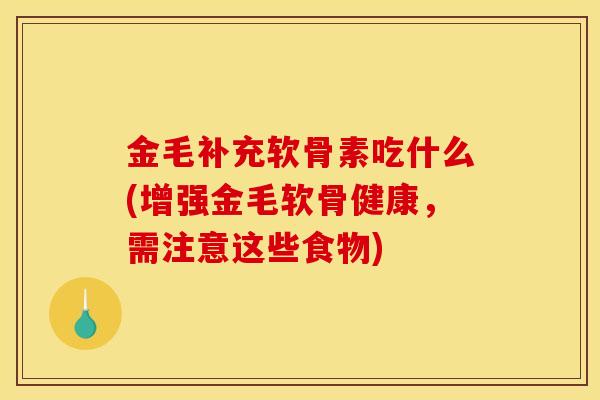金毛补充软骨素吃什么(增强金毛软骨健康，需注意这些食物)