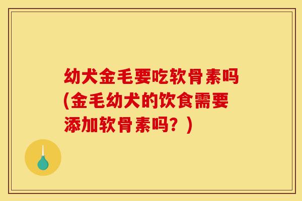 幼犬金毛要吃软骨素吗(金毛幼犬的饮食需要添加软骨素吗？)