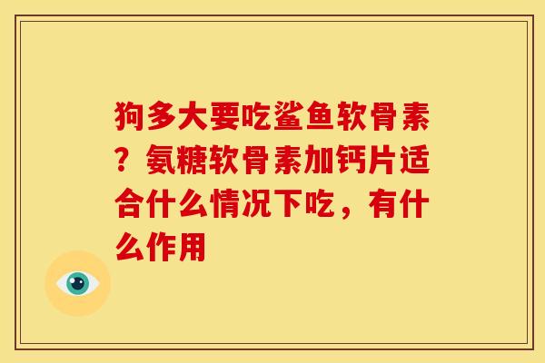 狗多大要吃鲨鱼软骨素？氨糖软骨素加钙片适合什么情况下吃，有什么作用-第1张图片-关节骑士