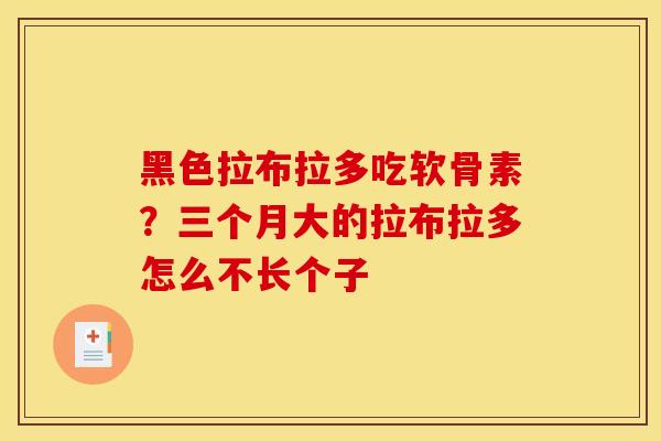 黑色拉布拉多吃软骨素？三个月大的拉布拉多怎么不长个子