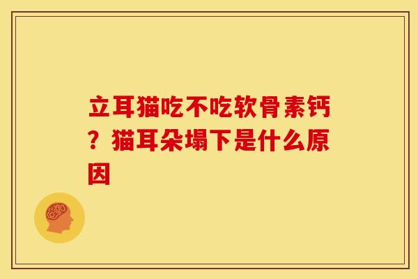 立耳猫吃不吃软骨素钙？猫耳朵塌下是什么原因