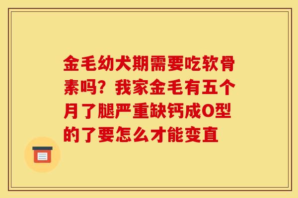金毛幼犬期需要吃软骨素吗？我家金毛有五个月了腿严重缺钙成O型的了要怎么才能变直