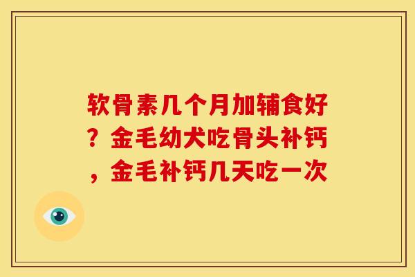 软骨素几个月加辅食好？金毛幼犬吃骨头补钙，金毛补钙几天吃一次