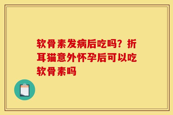 软骨素发病后吃吗？折耳猫意外怀孕后可以吃软骨素吗