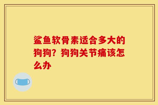 鲨鱼软骨素适合多大的狗狗？狗狗关节痛该怎么办