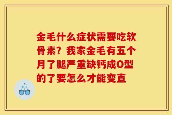 金毛什么症状需要吃软骨素？我家金毛有五个月了腿严重缺钙成O型的了要怎么才能变直