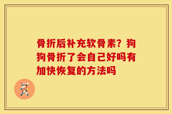 骨折后补充软骨素？狗狗骨折了会自己好吗有加快恢复的方法吗