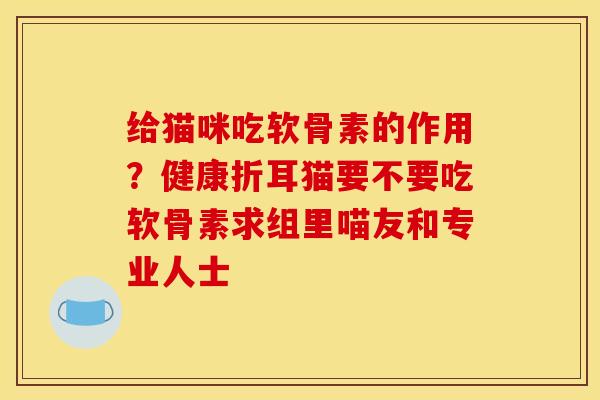 给猫咪吃软骨素的作用？健康折耳猫要不要吃软骨素求组里喵友和专业人士