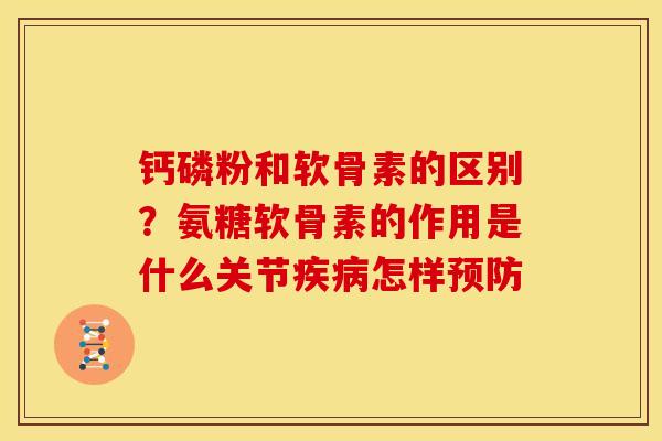 钙磷粉和软骨素的区别？氨糖软骨素的作用是什么关节疾病怎样预防