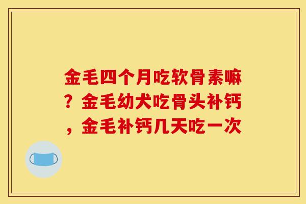 金毛四个月吃软骨素嘛？金毛幼犬吃骨头补钙，金毛补钙几天吃一次