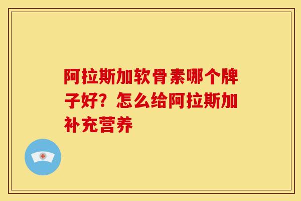 阿拉斯加软骨素哪个牌子好？怎么给阿拉斯加补充营养