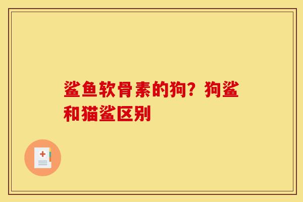 鲨鱼软骨素的狗？狗鲨和猫鲨区别