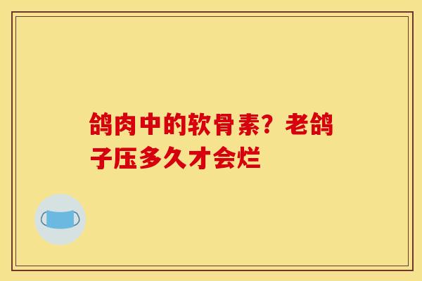 鸽肉中的软骨素？老鸽子压多久才会烂