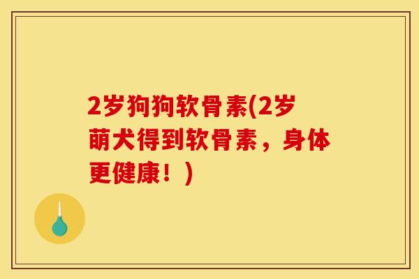 2岁狗狗软骨素(2岁萌犬得到软骨素，身体更健康！)