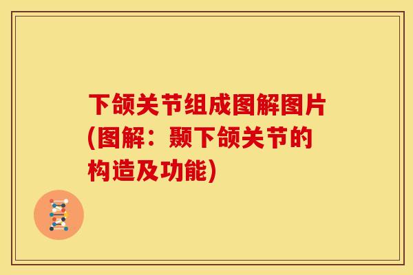 下颌关节组成图解图片(图解：颞下颌关节的构造及功能)