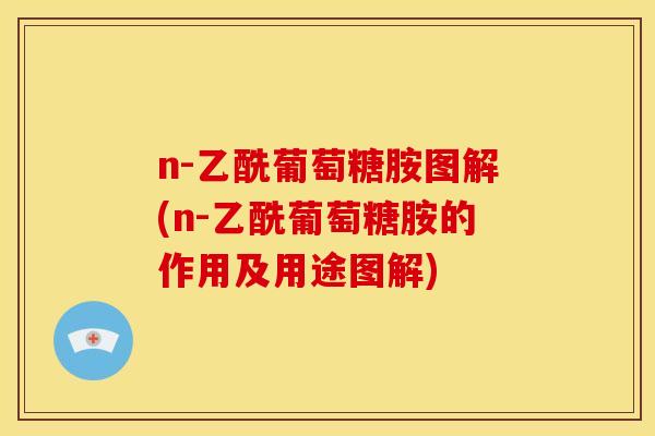 n-乙酰葡萄糖胺图解(n-乙酰葡萄糖胺的作用及用途图解)