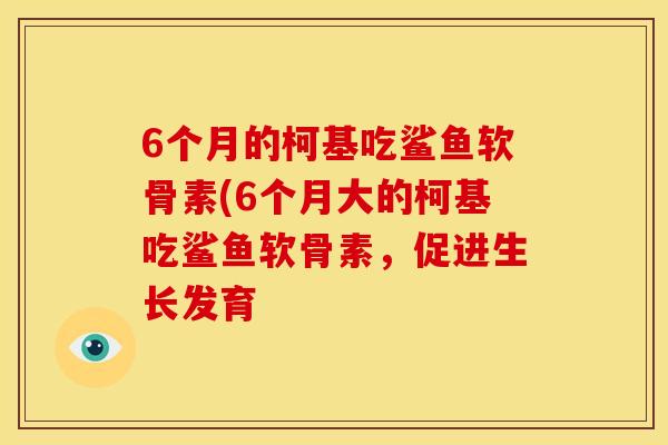 6个月的柯基吃鲨鱼软骨素(6个月大的柯基吃鲨鱼软骨素，促进生长发育