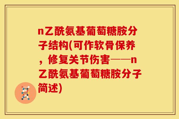 n乙酰氨基葡萄糖胺分子结构(可作软骨保养，修复关节伤害──n乙酰氨基葡萄糖胺分子简述)