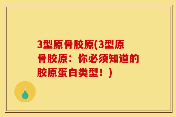 3型原骨胶原(3型原骨胶原：你必须知道的胶原蛋白类型！)