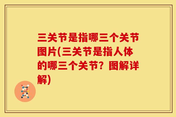 三关节是指哪三个关节图片(三关节是指人体的哪三个关节？图解详解)