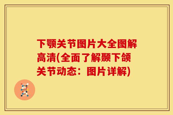 下颚关节图片大全图解高清(全面了解颞下颌关节动态：图片详解)