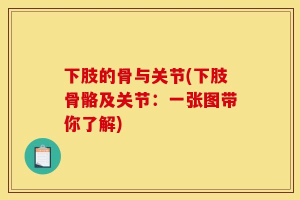 下肢的骨与关节(下肢骨骼及关节：一张图带你了解)