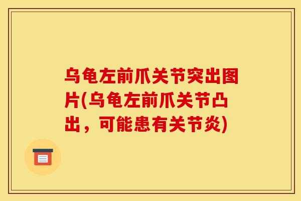 乌龟左前爪关节突出图片(乌龟左前爪关节凸出，可能患有关节炎)