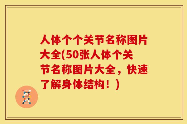 人体个个关节名称图片大全(50张人体个关节名称图片大全，快速了解身体结构！)