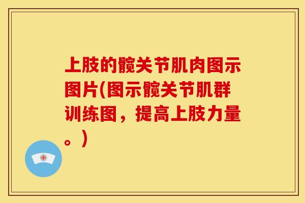 上肢的髋关节肌肉图示图片(图示髋关节肌群训练图，提高上肢力量。)