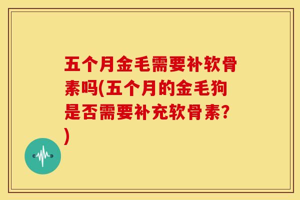 五个月金毛需要补软骨素吗(五个月的金毛狗是否需要补充软骨素？)