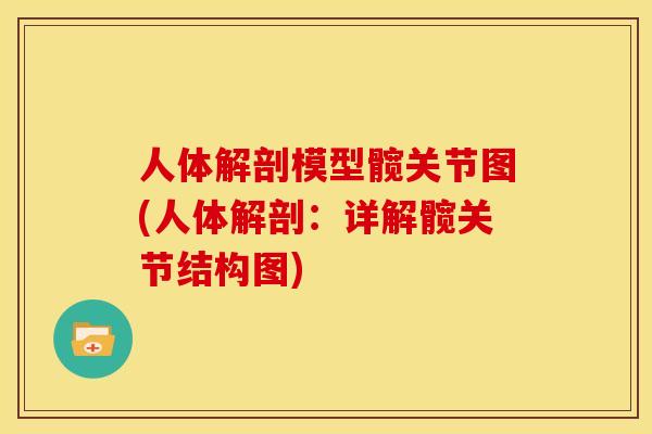 人体解剖模型髋关节图(人体解剖：详解髋关节结构图)