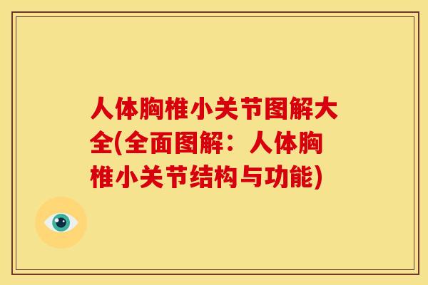 人体胸椎小关节图解大全(全面图解：人体胸椎小关节结构与功能)