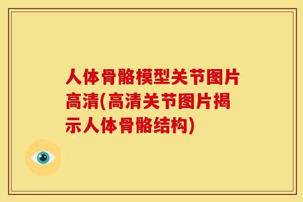 人体骨骼模型关节图片高清(高清关节图片揭示人体骨骼结构)