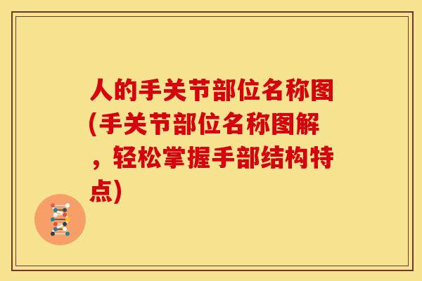 人的手关节部位名称图(手关节部位名称图解，轻松掌握手部结构特点)