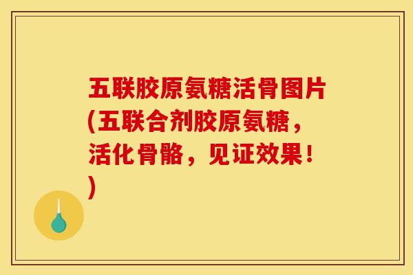 五联胶原氨糖活骨图片(五联合剂胶原氨糖，活化骨骼，见证效果！)