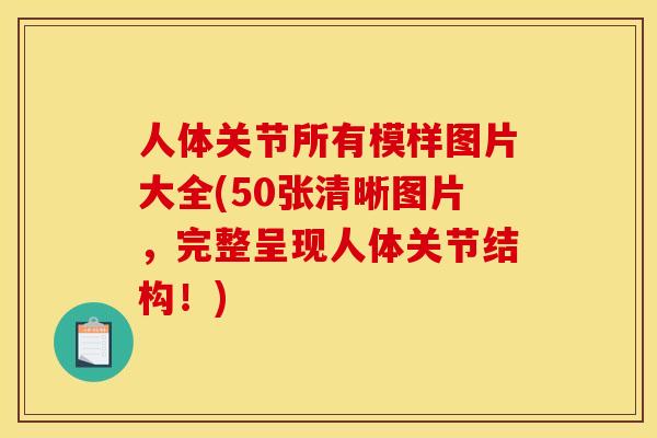 人体关节所有模样图片大全(50张清晰图片，完整呈现人体关节结构！)