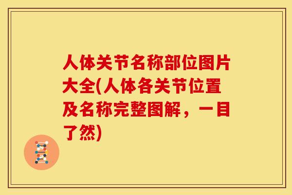 人体关节名称部位图片大全(人体各关节位置及名称完整图解，一目了然)