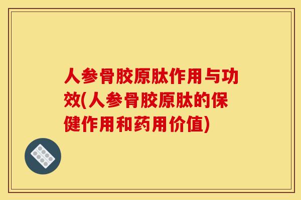 人参骨胶原肽作用与功效(人参骨胶原肽的保健作用和药用价值)