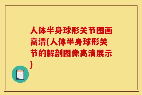 人体半身球形关节图画高清(人体半身球形关节的解剖图像高清展示)