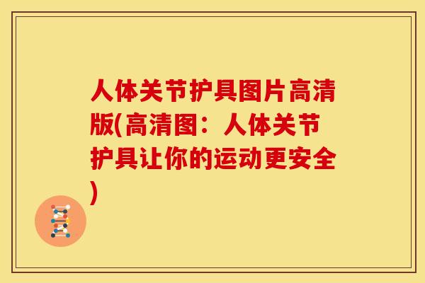 人体关节护具图片高清版(高清图：人体关节护具让你的运动更安全)