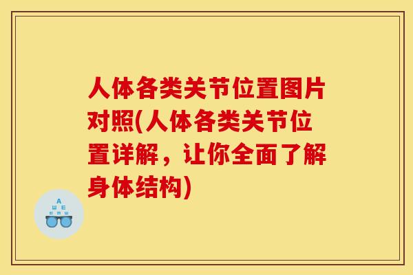 人体各类关节位置图片对照(人体各类关节位置详解，让你全面了解身体结构)