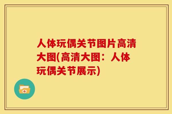 人体玩偶关节图片高清大图(高清大图：人体玩偶关节展示)