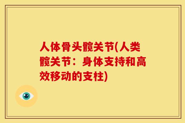 人体骨头髋关节(人类髋关节：身体支持和高效移动的支柱)