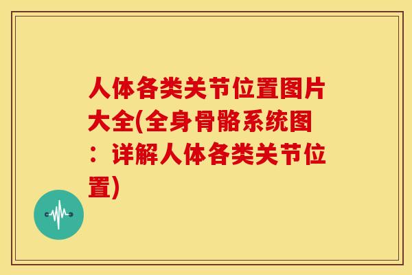 人体各类关节位置图片大全(全身骨骼系统图：详解人体各类关节位置)