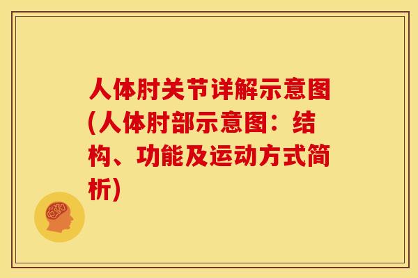 人体肘关节详解示意图(人体肘部示意图：结构、功能及运动方式简析)