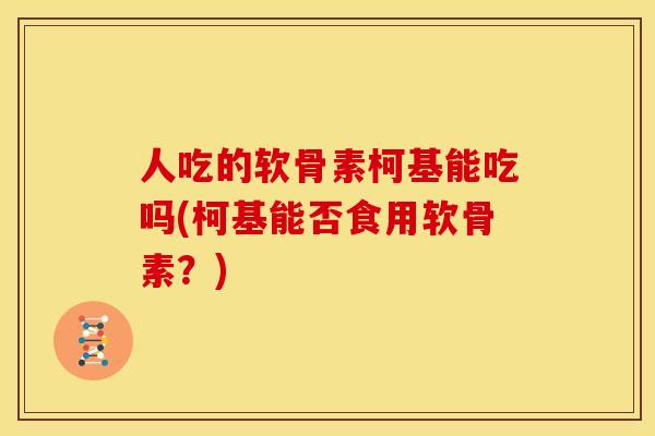 人吃的软骨素柯基能吃吗(柯基能否食用软骨素？)