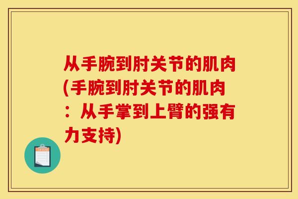 从手腕到肘关节的肌肉(手腕到肘关节的肌肉：从手掌到上臂的强有力支持)
