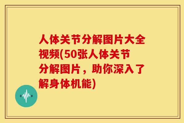 人体关节分解图片大全视频(50张人体关节分解图片，助你深入了解身体机能)