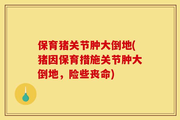 保育猪关节肿大倒地(猪因保育措施关节肿大倒地，险些丧命)-第1张图片-关节骑士