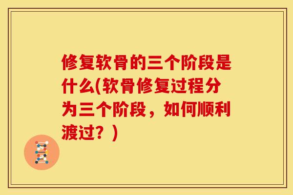 修复软骨的三个阶段是什么(软骨修复过程分为三个阶段，如何顺利渡过？)-第1张图片-关节骑士